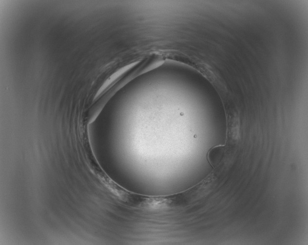 X0000081580569200701151246