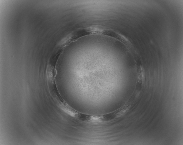 X0000081580573200701151246