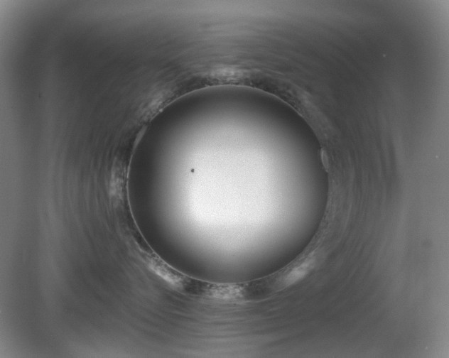 X0000081580576200701151246