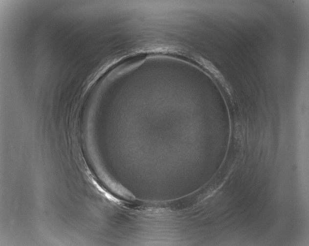 X0000081580577200701151245