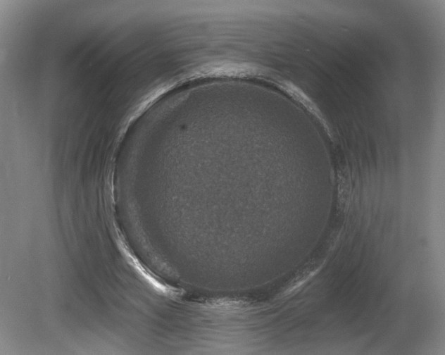 X0000081580581200701151245