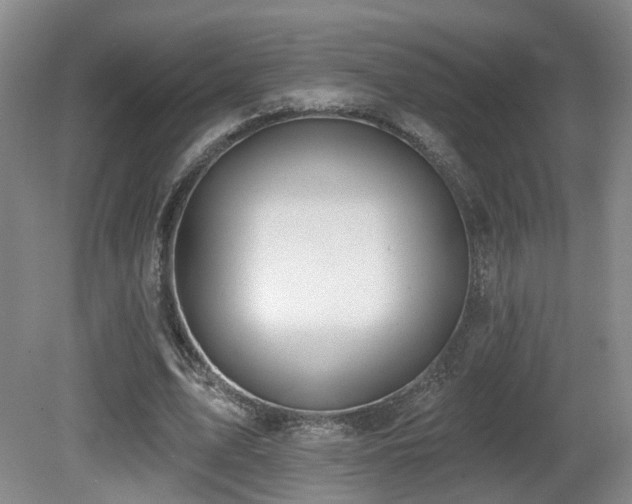 X0000081580583200701151245