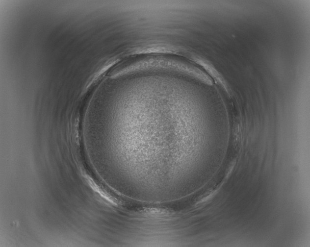 X0000081580585200701151245