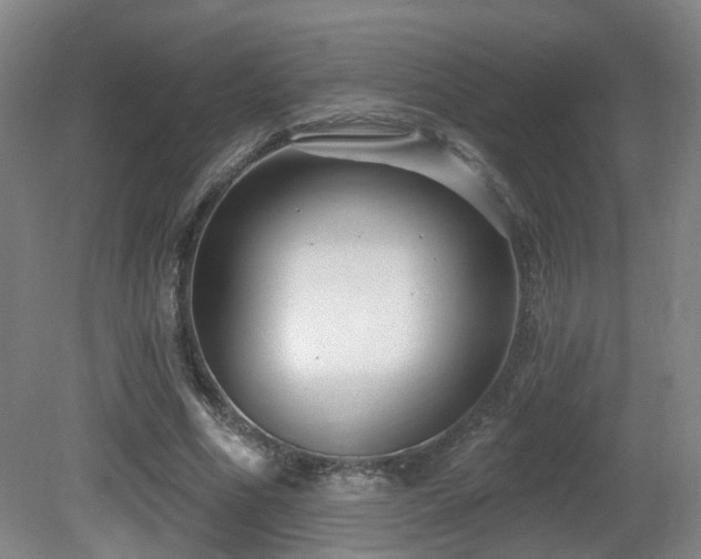 X0000081580586200701151245