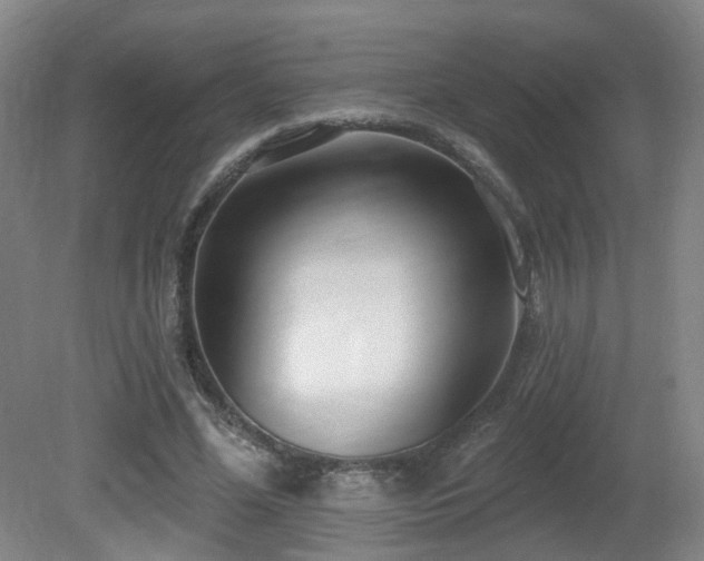 X0000081580588200701151245