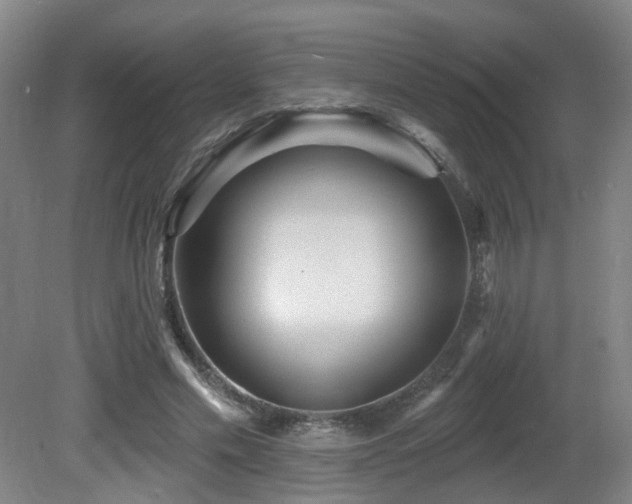 X0000081580589200701151245