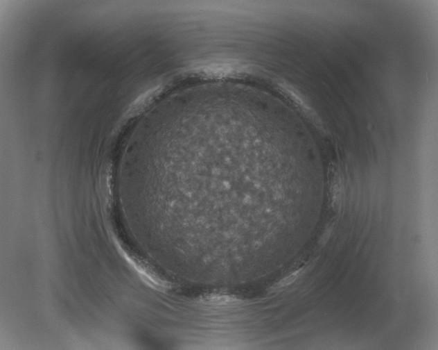 X0000081580590200701151245