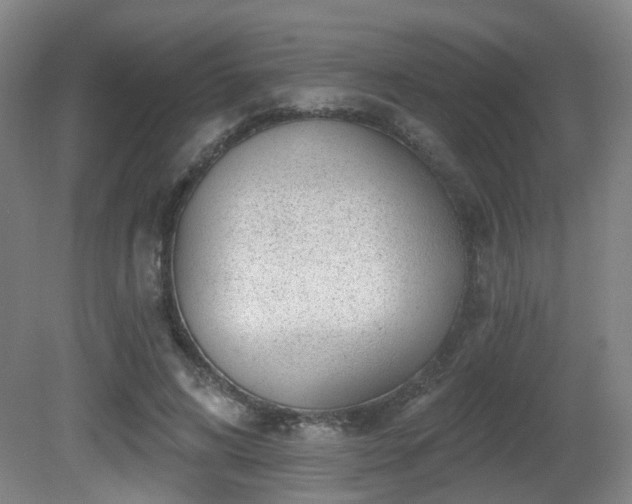 X0000081580592200701151245