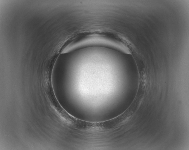 X0000081580593200701151245