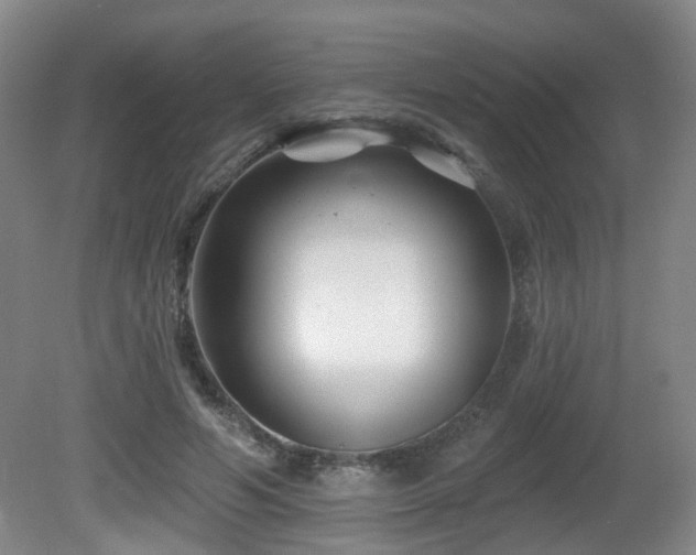 X0000081580594200701151245