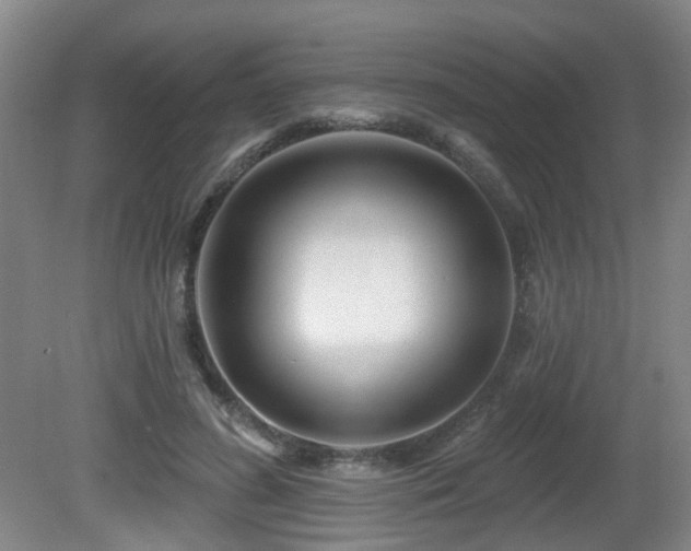 X0000081580596200701151245