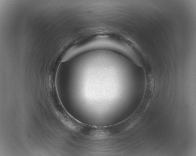 X0000081580597200701151245