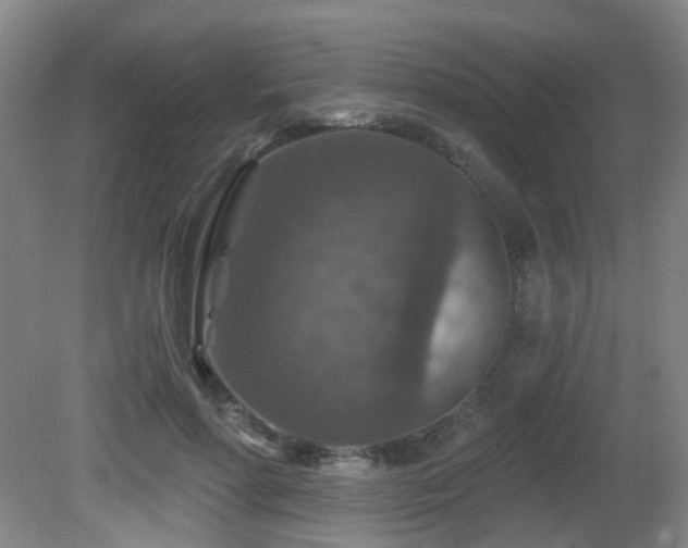 X0000081580598200701151245