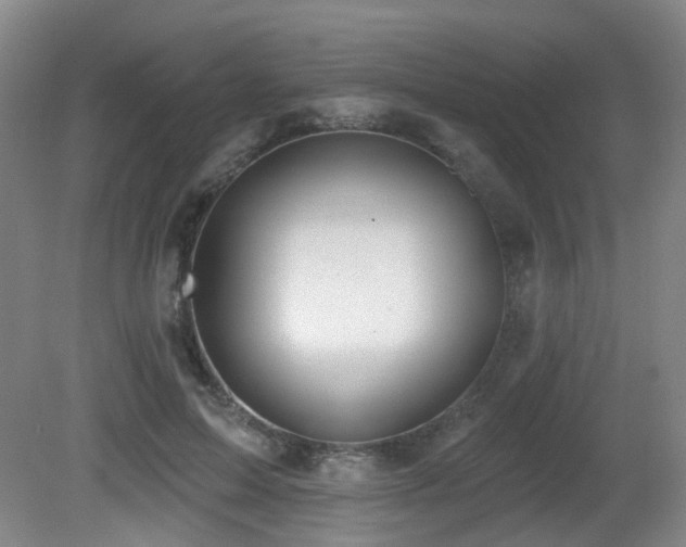 X0000081580599200701151245