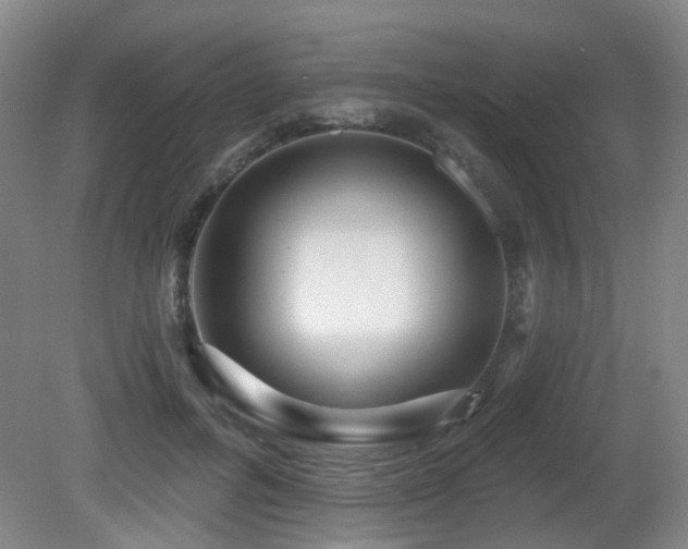 X0000081580600200701151245