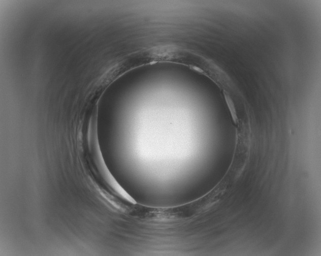 X0000081580601200701151245