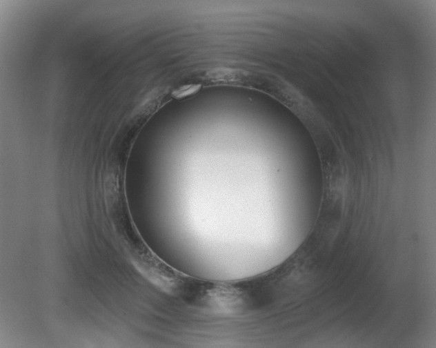 X0000081580603200701151245