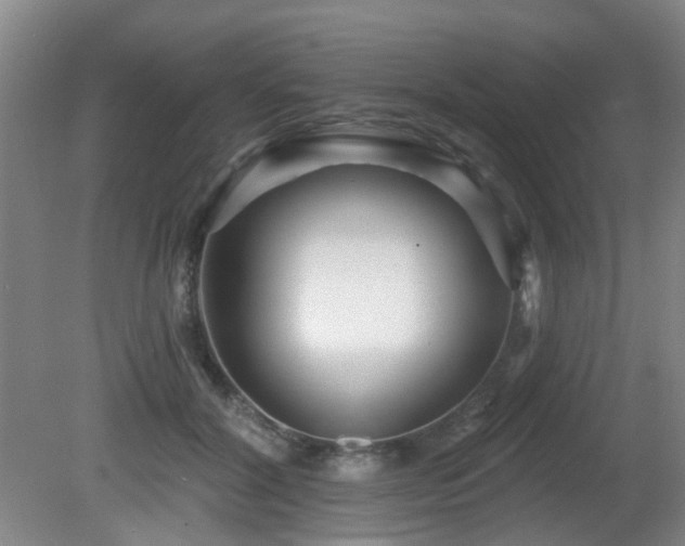 X0000081580604200701151245