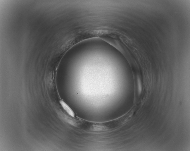 X0000081580605200701151245