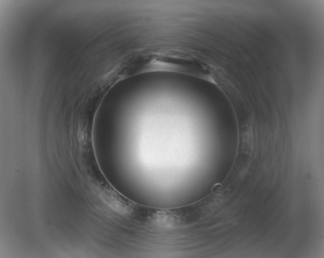 X0000081580608200701151245