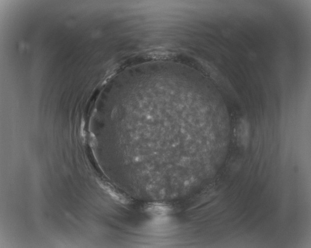 X0000081580610200701151245