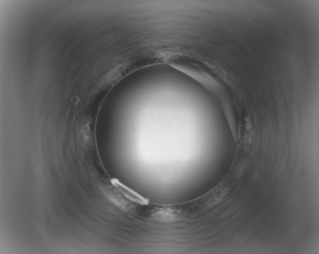 X0000081580611200701151245