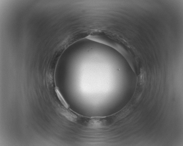 X0000081580613200701151245