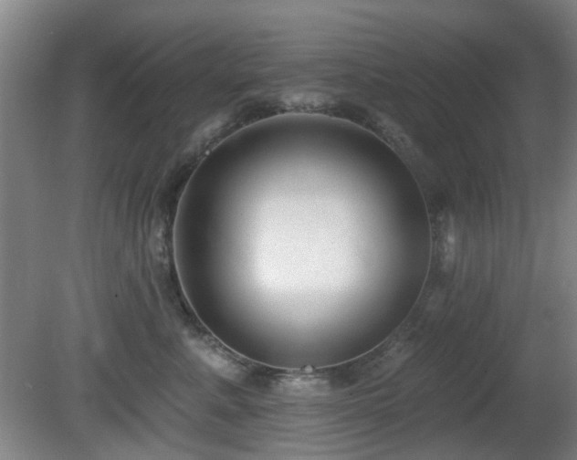 X0000081580619200701151244