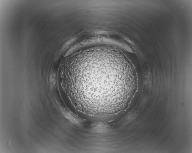 X0000081580621200701151244