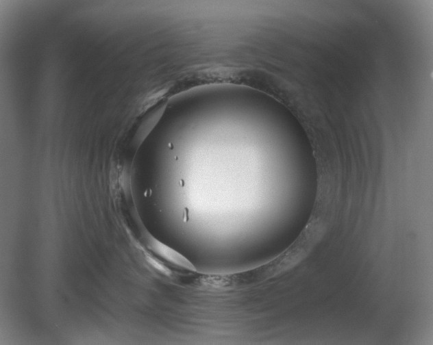 X0000081580624200701151244