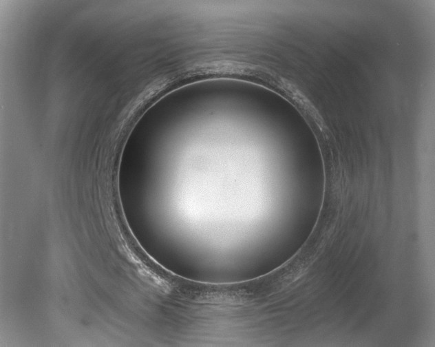 X0000081580625200701151244