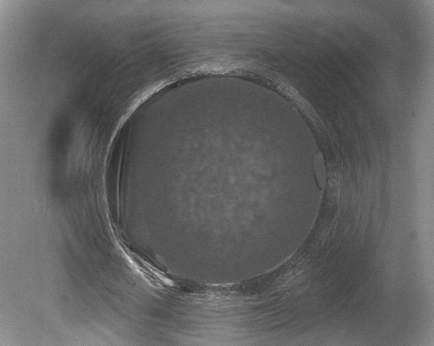 X0000081580626200701151244