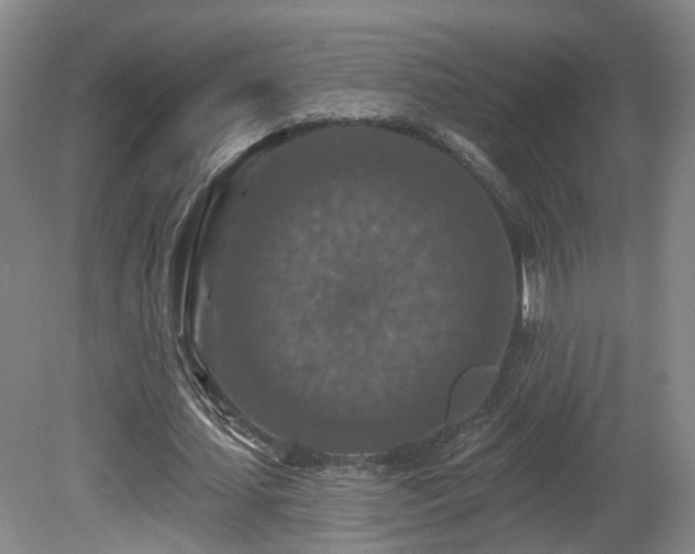 X0000081580627200701151244