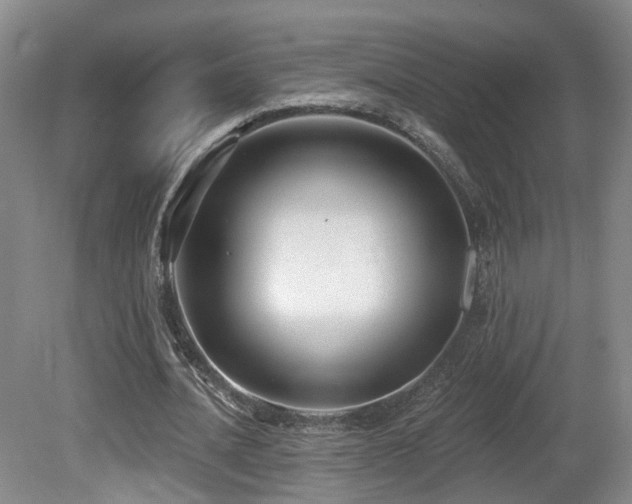 X0000081580628200701151244