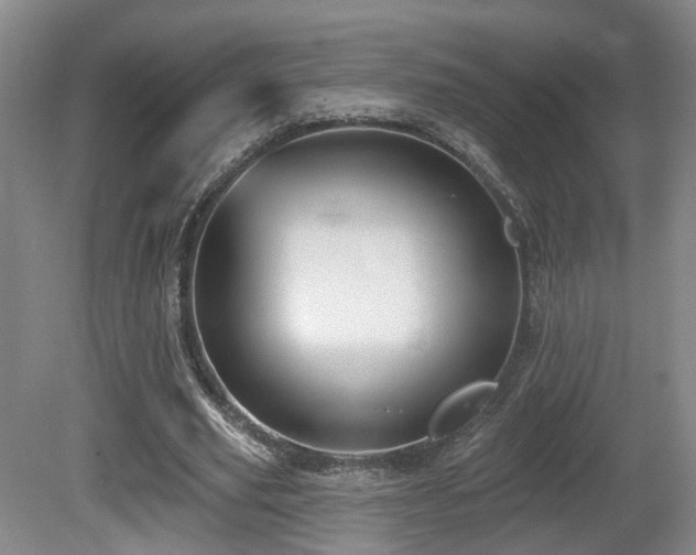 X0000081580629200701151244