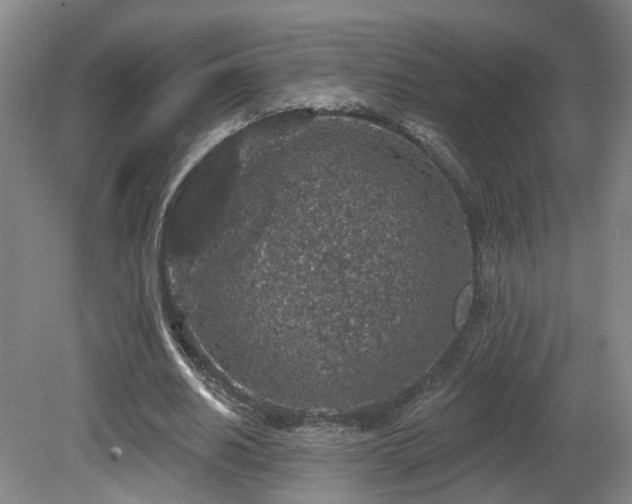 X0000081580630200701151244