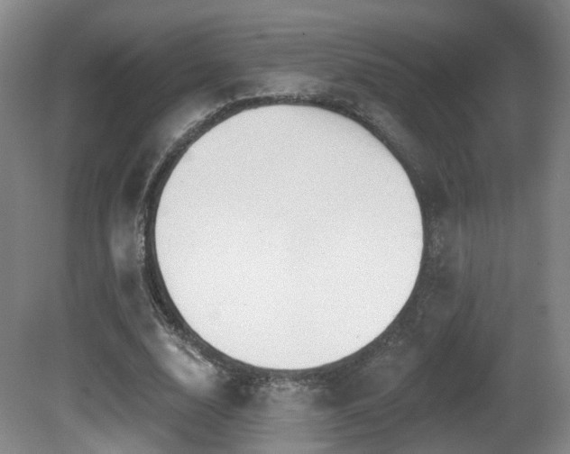 X0000081580632200701151244