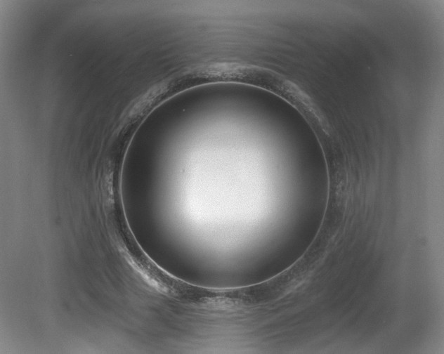 X0000081580633200701151244