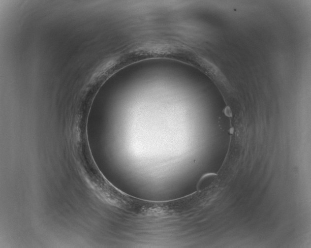 X0000081580635200701151244