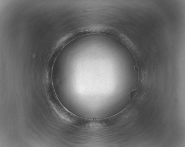 X0000081580636200701151244