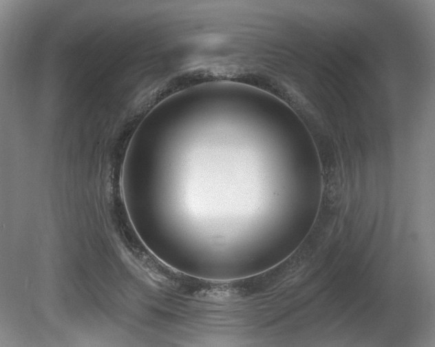 X0000081580639200701151244