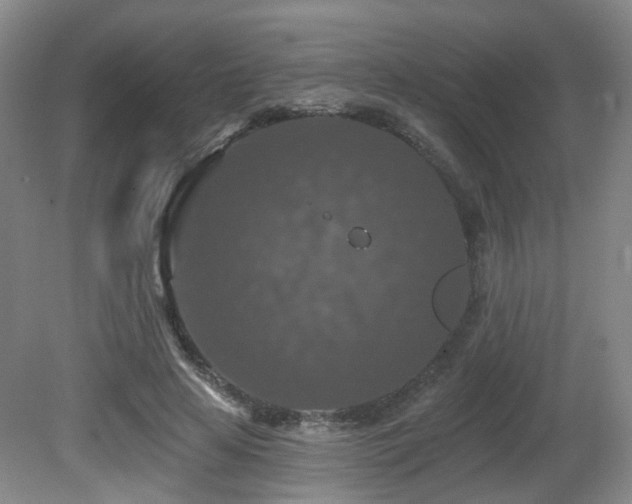 X0000081580641200701151244