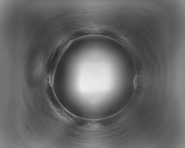 X0000081580642200701151244