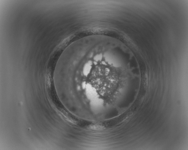 X0000081580644200701151244