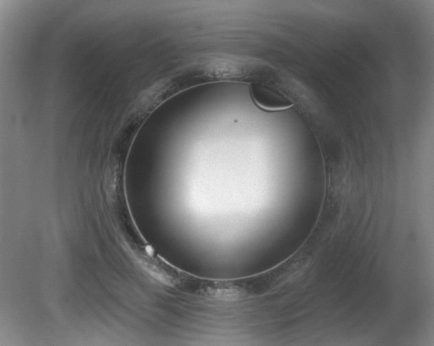 X0000081580645200701151244