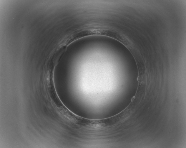 X0000081580646200701151244