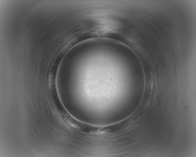 X0000081580647200701151244