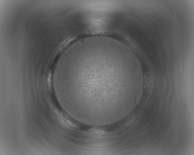 X0000081580648200701151244