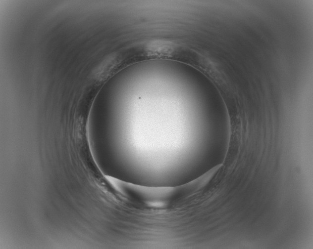 X0000081580649200701151244