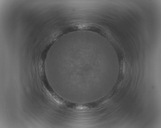 X0000081580650200701151244